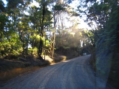 Gravel Road nach Russel, Bay of Islands