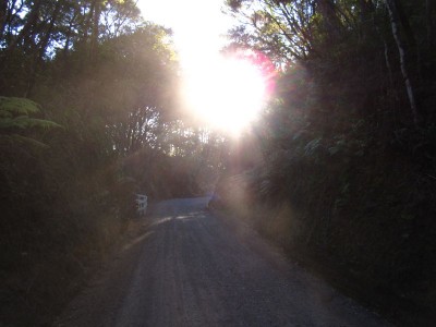 Gravel Road nach Russel, Bay of Islands