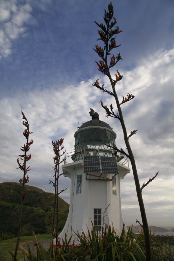 Leuchtturm von Cape Reinga