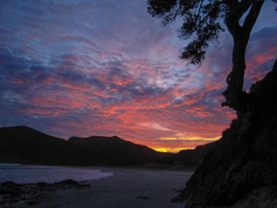 Sonnenaufgang am Cape Reinga