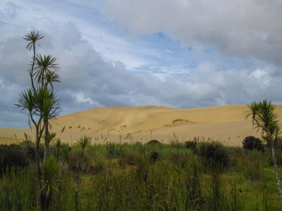 Te Paki Dünen in der Nähe von Cape Reinga