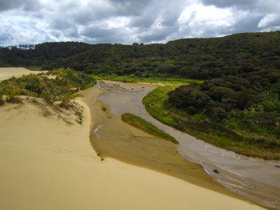 Sand, Fluss und grüne Natur