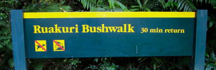 Ruakuri Bushwalk