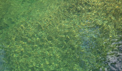 Klares Wasser - grün erscheint der Algenbewuchs