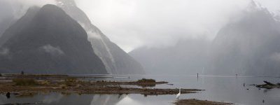 Milford Sound – Naturspektakel hautnah erleben