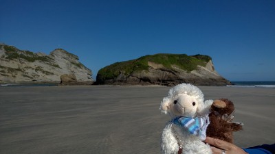 Schaf und Kiwi auf der Wharariki Beach