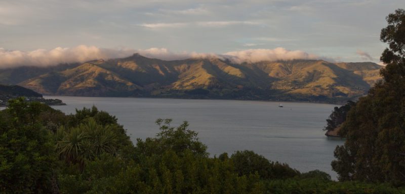 Ausblick auf die Banks Peninsula von Akaroa aus