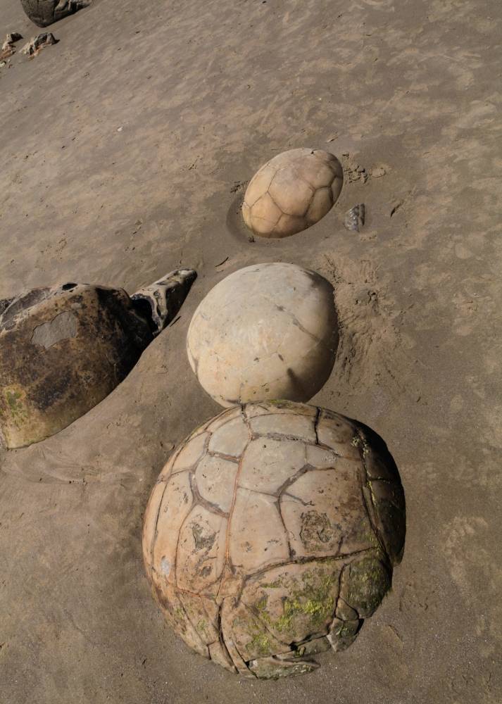 Verschiedene Formen und Größen der Moeraki Boulders