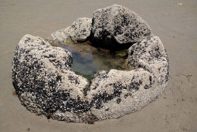 Ein abgetragener Boulder am Strand
