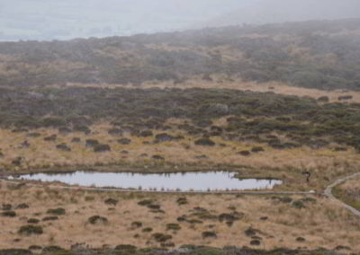 See am Mangorei Track in dem sich Mount Taranaki spiegeln soll.