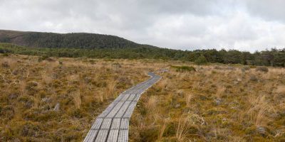 Silica Rapids Walk im Tongariro National Park