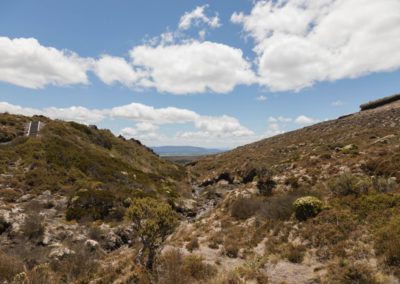 Viel Natur im Tongariro National Park