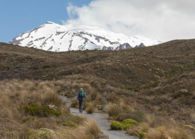 Von einem Wanderweg aus kann man den schneebedeckten Vulkan Mount Ruapehu sehen