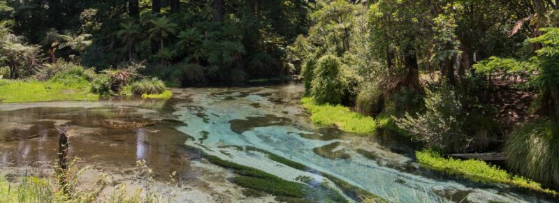 Hamurana Springs bei Rotorua