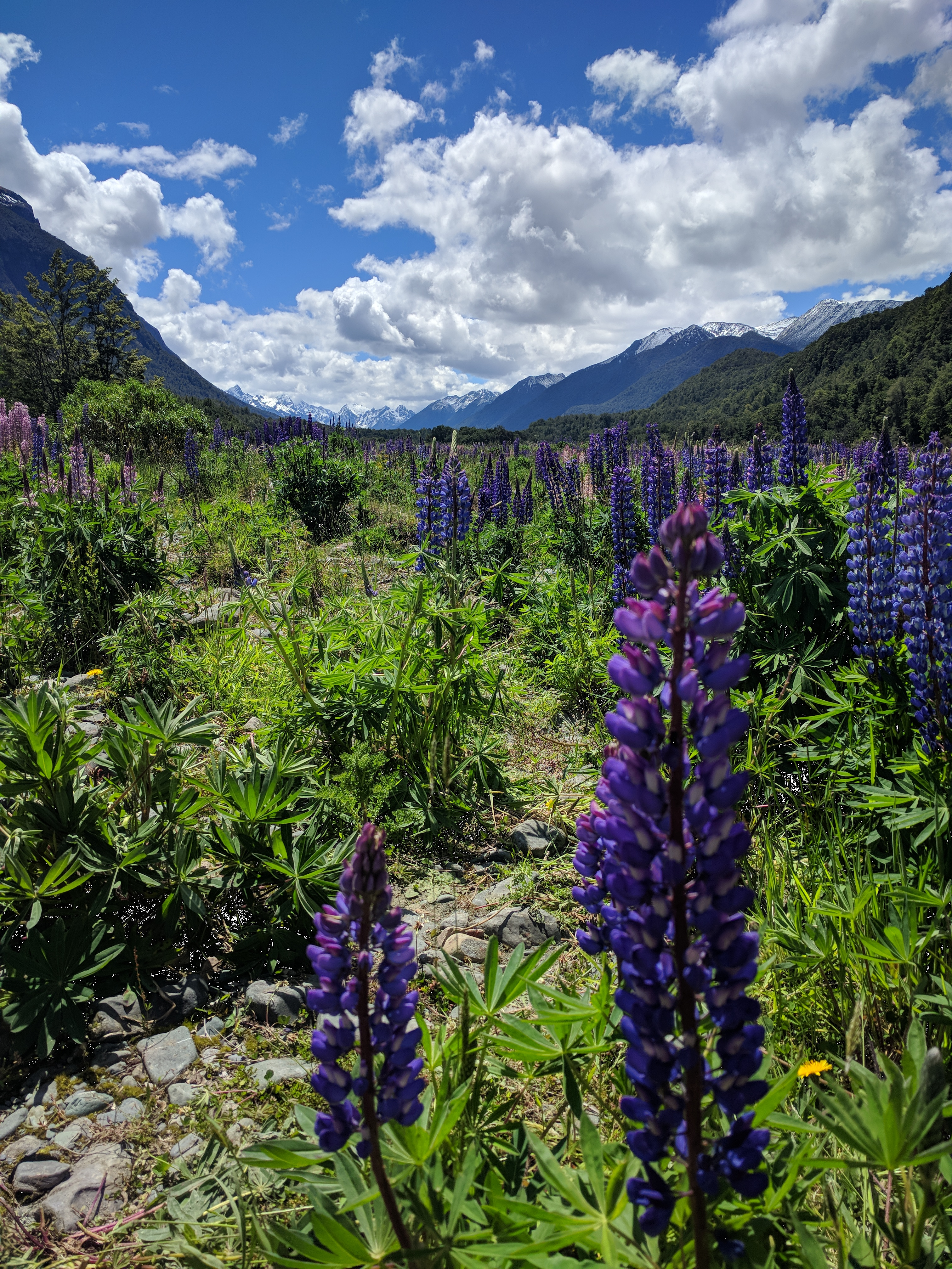Reiseroute Neuseeland die schönsten Orte